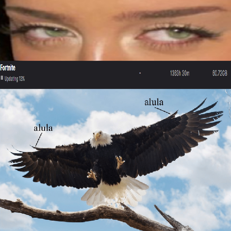 alices eyes, fortnite, eagle